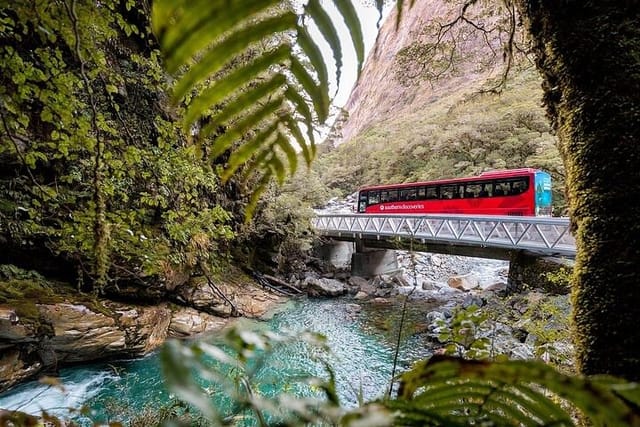 Milford Sound Coach & Discover More with Lunch ex Queenstown - Photo 1 of 18